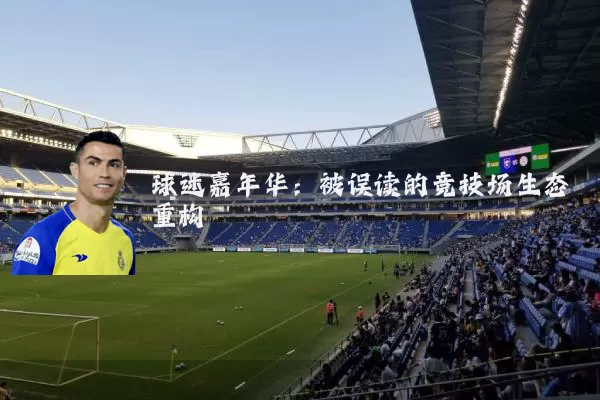 球迷嘉年华：被误读的竞技场生态重构